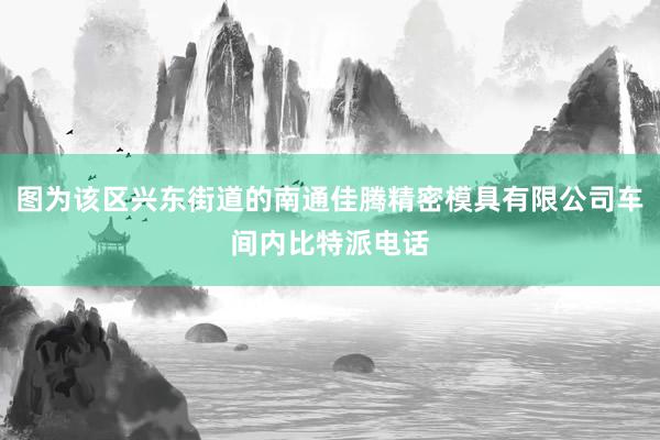 图为该区兴东街道的南通佳腾精密模具有限公司车间内比特派电话