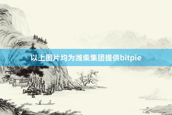 以上图片均为潍柴集团提供bitpie