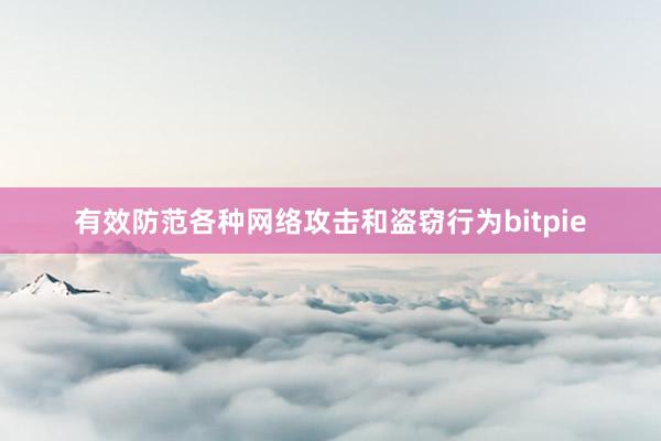 有效防范各种网络攻击和盗窃行为bitpie