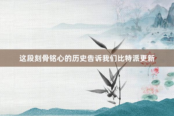 这段刻骨铭心的历史告诉我们比特派更新