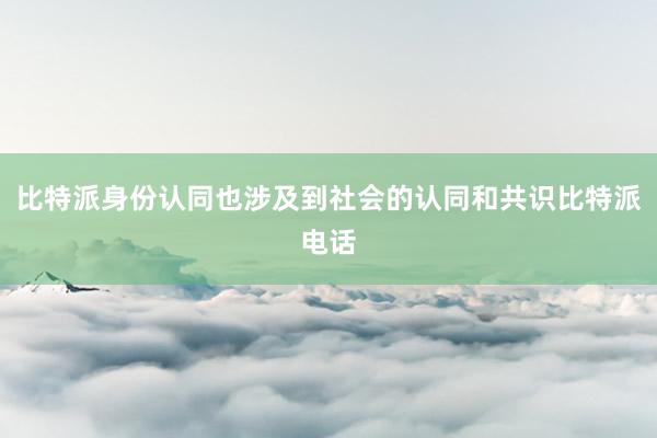 比特派身份认同也涉及到社会的认同和共识比特派电话