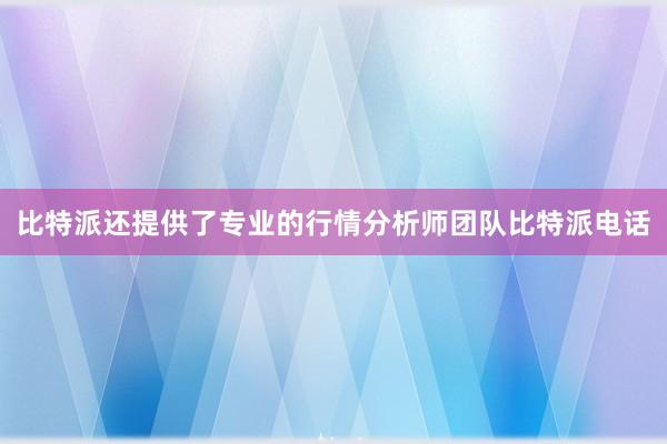 比特派还提供了专业的行情分析师团队比特派电话