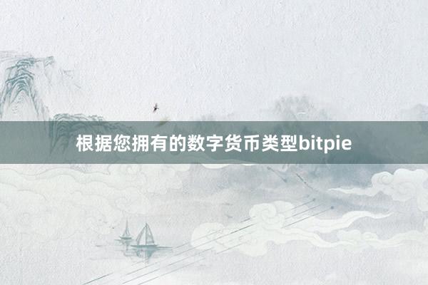 根据您拥有的数字货币类型bitpie