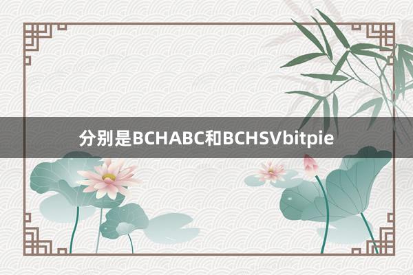 分别是BCHABC和BCHSVbitpie