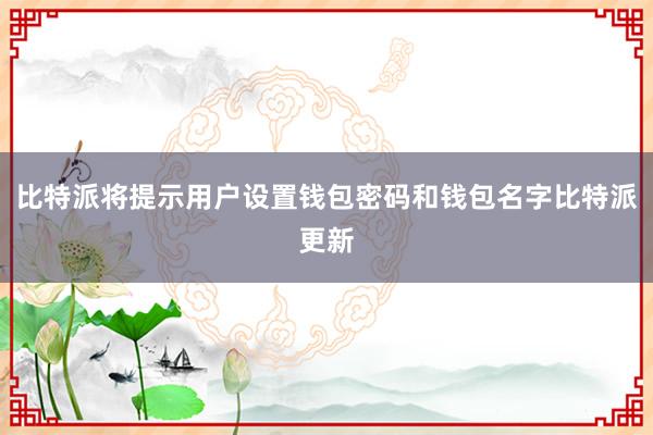 比特派将提示用户设置钱包密码和钱包名字比特派更新