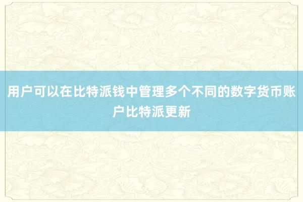 用户可以在比特派钱中管理多个不同的数字货币账户比特派更新