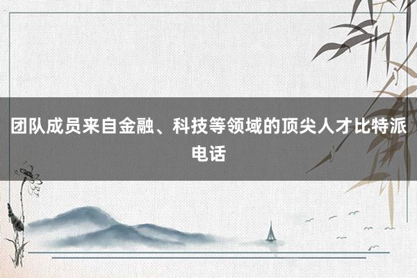 团队成员来自金融、科技等领域的顶尖人才比特派电话