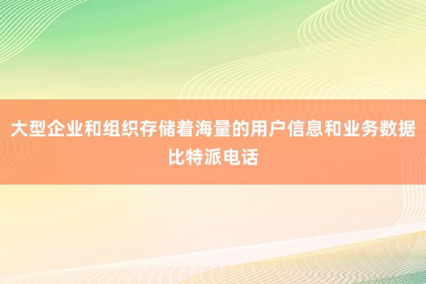 大型企业和组织存储着海量的用户信息和业务数据比特派电话