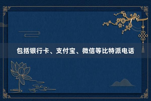 包括银行卡、支付宝、微信等比特派电话