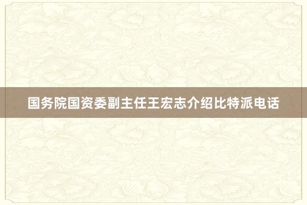 国务院国资委副主任王宏志介绍比特派电话