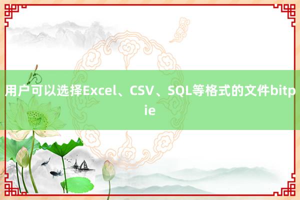 用户可以选择Excel、CSV、SQL等格式的文件bitpie