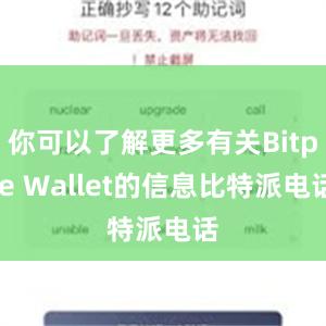 你可以了解更多有关Bitpie Wallet的信息比特派电话