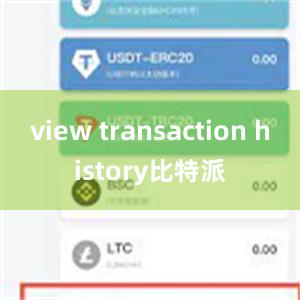 view transaction history比特派