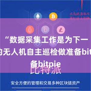 “数据采集工作是为下一步的无人机自主巡检做准备bitpie